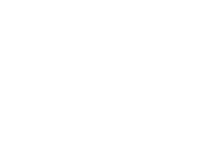 TY Painting